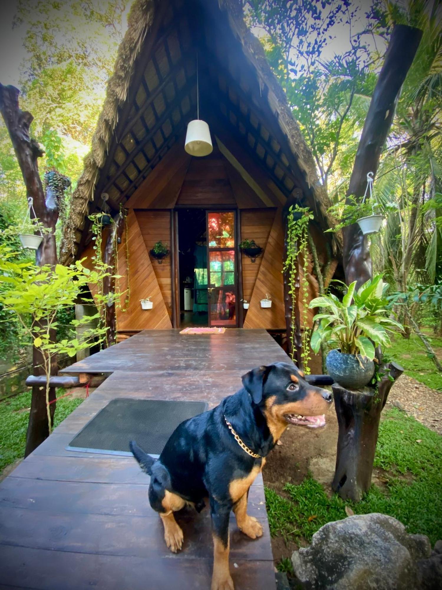 Chika'S Place River View Udawalawa 우다왈라웨 외부 사진